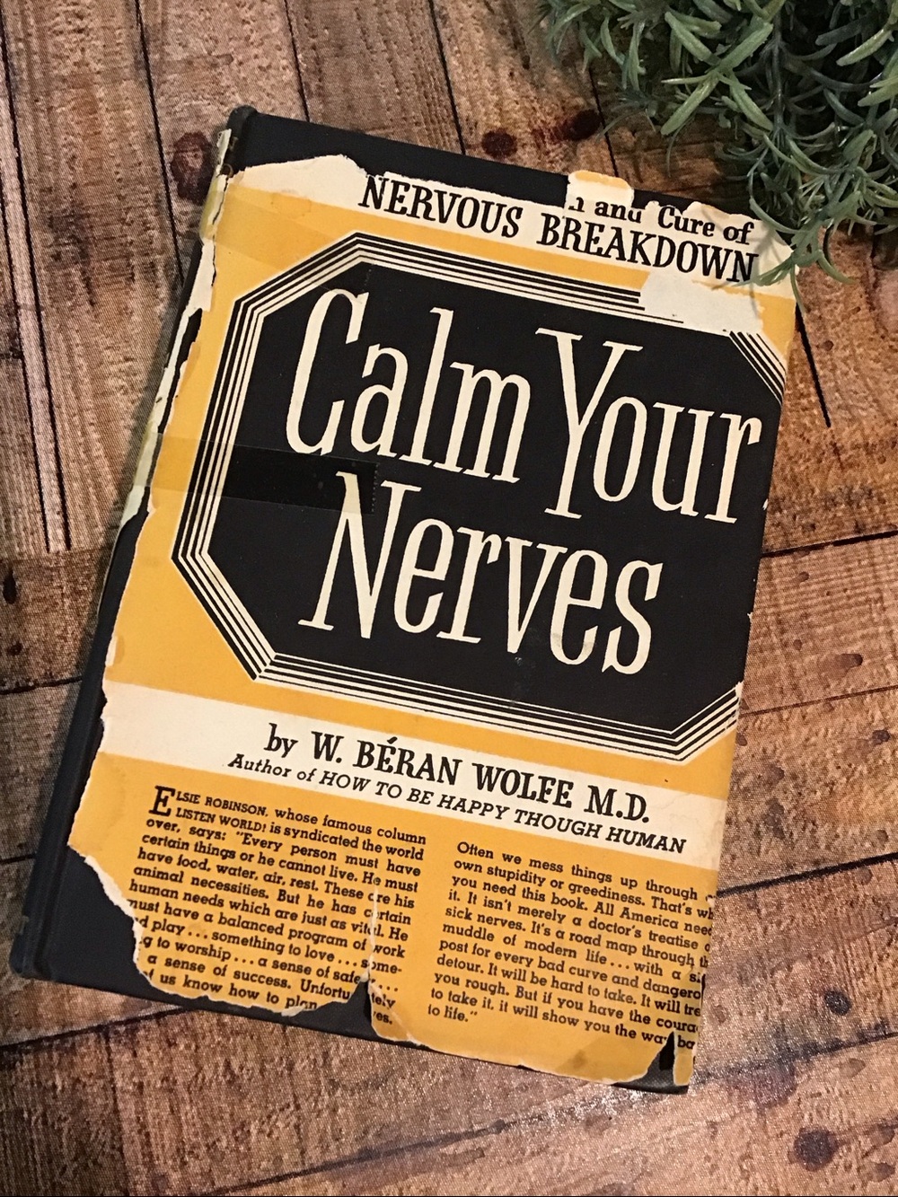 ♥️5/25$ Calm Your Nerves